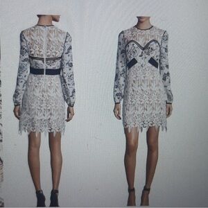 The Self Portrait White Swallow Guipure Dress